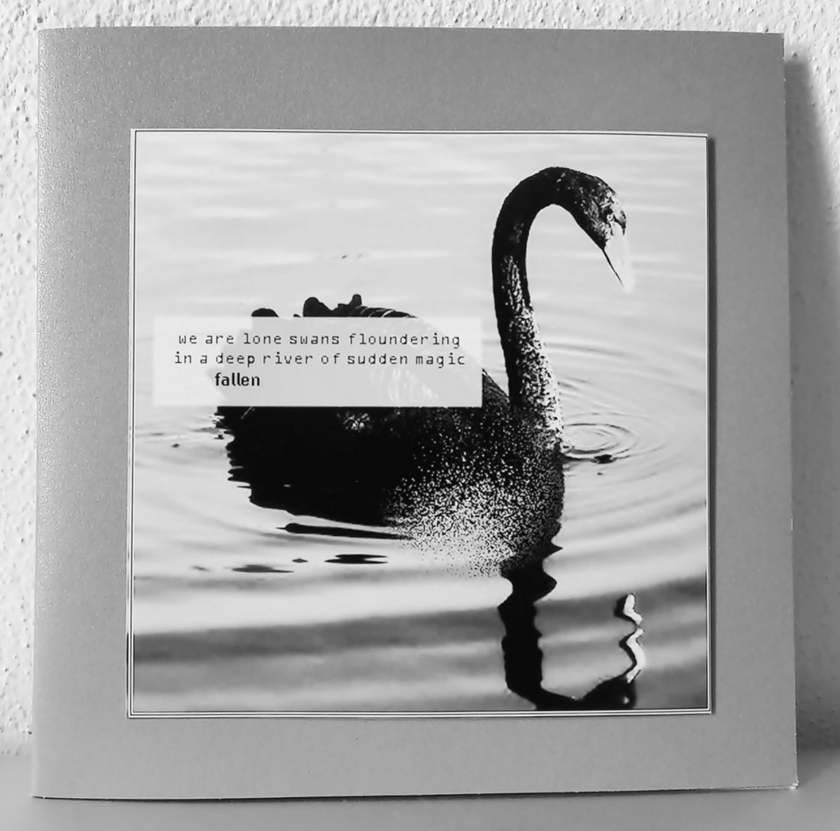 The Child of A Creek/ FALLEN (@creekchild78) on Twitter photo 📀Friends, my new ambient/electronic album "we are lone swans.." IS NOW AVAILABLE on my Bandcamp, take a listen, a few of cds left: thechildofacreek.bandcamp.com/album/we-are-l… • Released by <a href="/ShimmeringM/">Shimmering Moods</a> Recs on May '25
#OutNow <a href="/electronicmu/">Música Electrónica</a> 📀Friends, my new ambient/electronic album "we are lone swans.." IS NOW AVAILABLE on my Bandcamp, take a listen, a few of cds left: thechildofacreek.bandcamp.com/album/we-are-l… • Released by <a href="/ShimmeringM/">Shimmering Moods</a> Recs on May '25
#OutNow <a href="/electronicmu/">Música Electrónica</a>