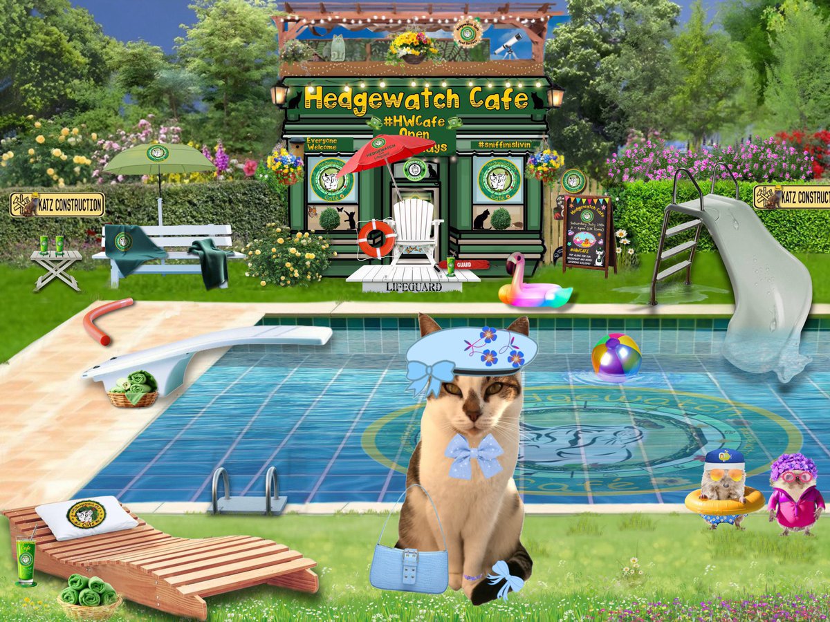 #hwcafe hello 😺 it’s lovely to be here ! Can’t wait to go for a dip in the pool ❤️🐾💖