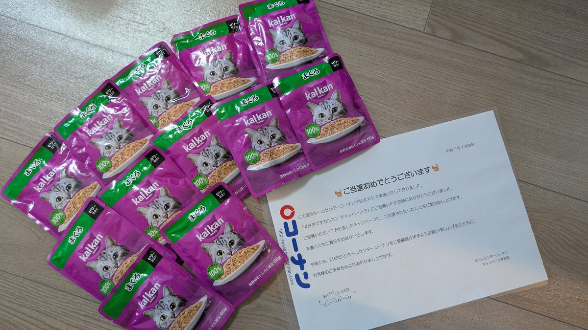 ゆずっこ (@gannko8) / Posts / X