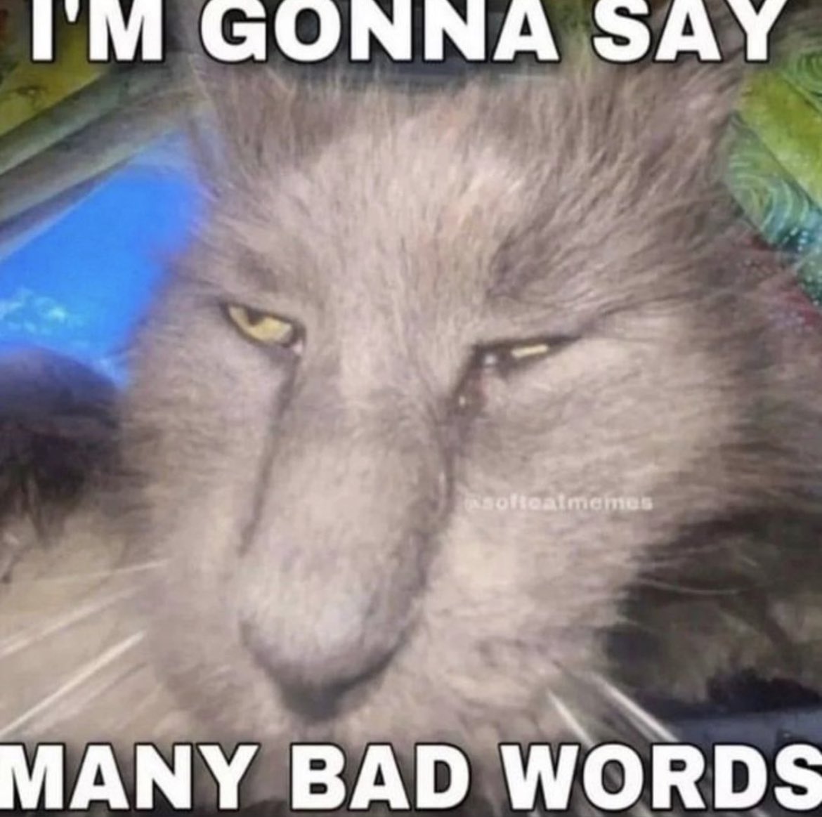 Останньою каплею нинішнього паршивого дня було те, що хтось люто напердів у метро