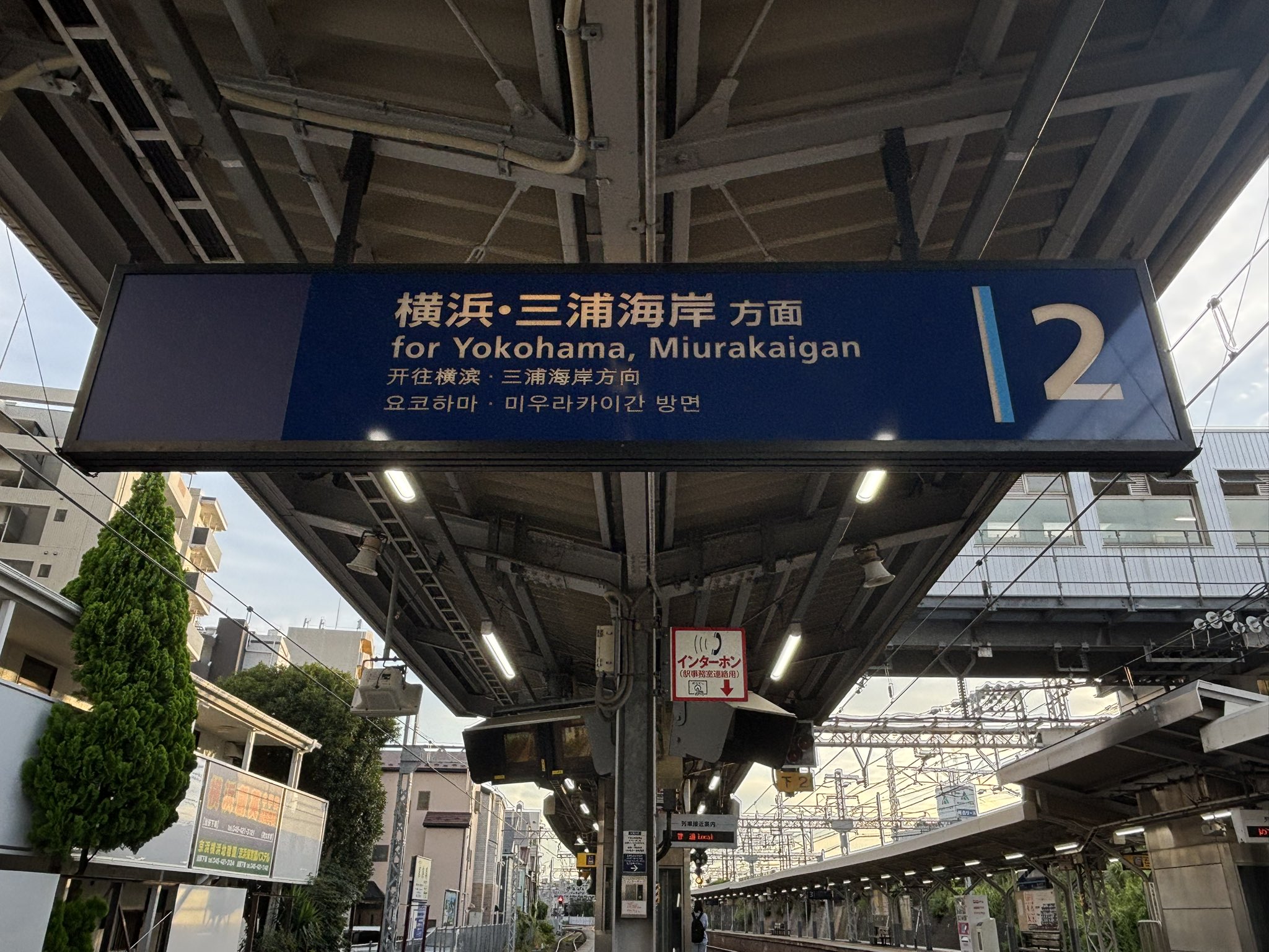 きのこ　1113 KHK-1113-◢|⁴⁶ on X: 