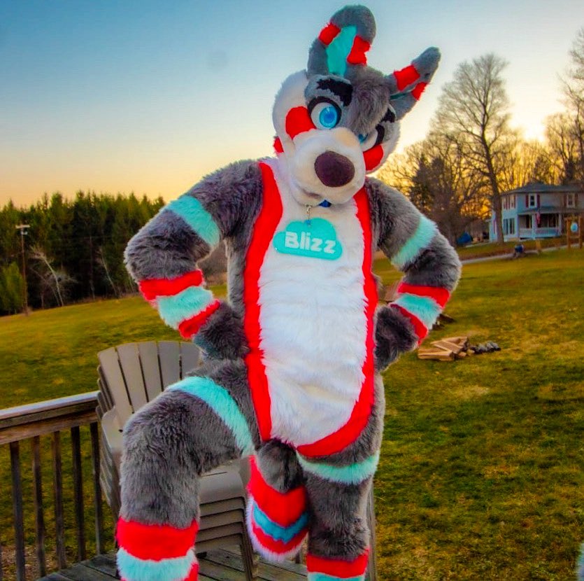 BlizzTheWolf's tweet image. Remember, the mighty wolf is one of the most fearsome predators out there 🐺