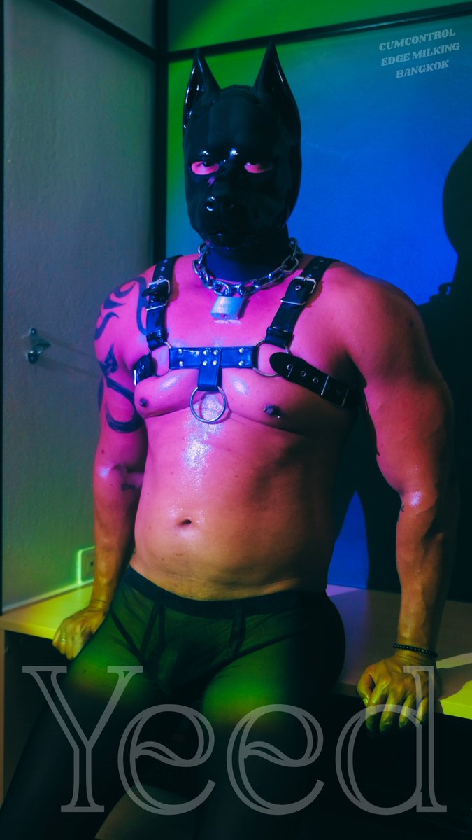 <a href="/Yeed14081950/">Yeed</a>