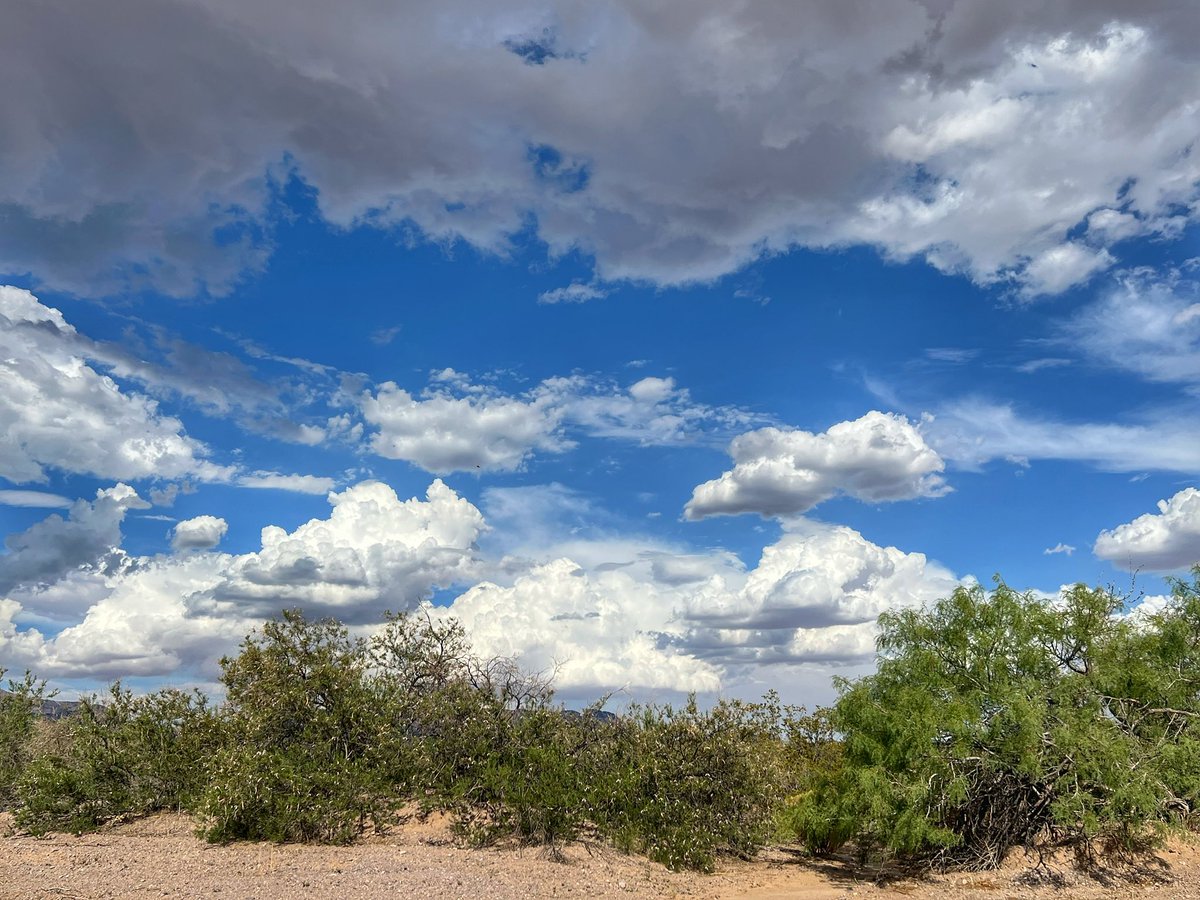 NewMexicoVibes's tweet image. Yesterday’s walk. Before during & after the storm. Grateful. #NewMexico