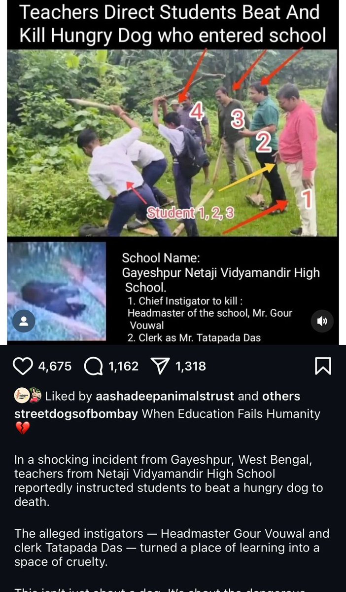 tarana singh tweet media