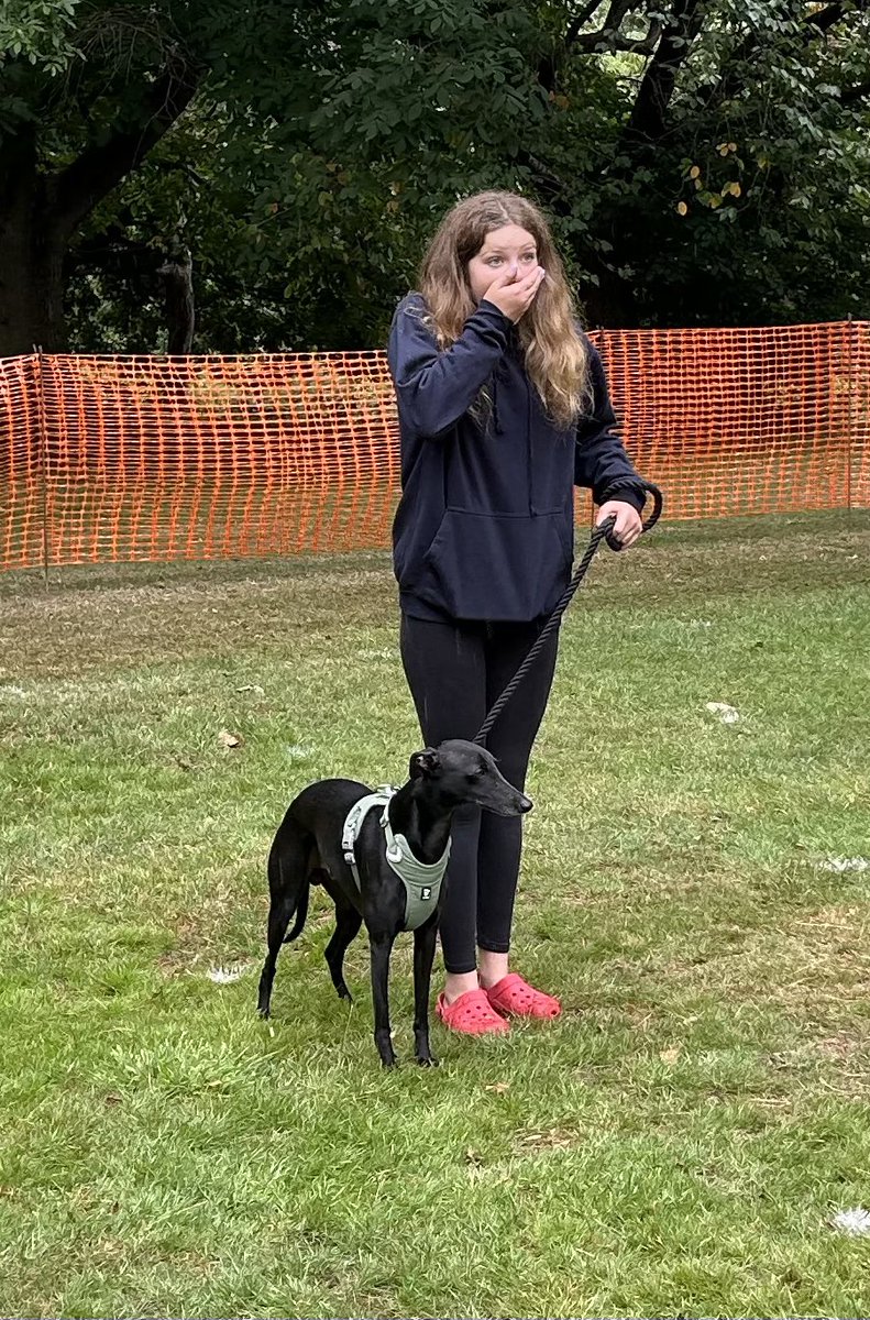 veedubhev's tweet image. The Wild Whippet and Mini-Me took part in one of the dog shows today too. They only went and won 1st Place! Proud of them both 🥰🏆