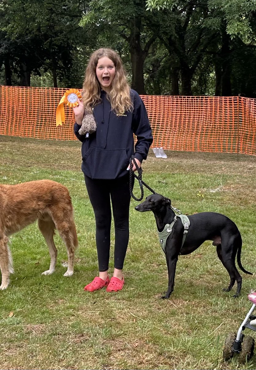 veedubhev's tweet image. The Wild Whippet and Mini-Me took part in one of the dog shows today too. They only went and won 1st Place! Proud of them both 🥰🏆