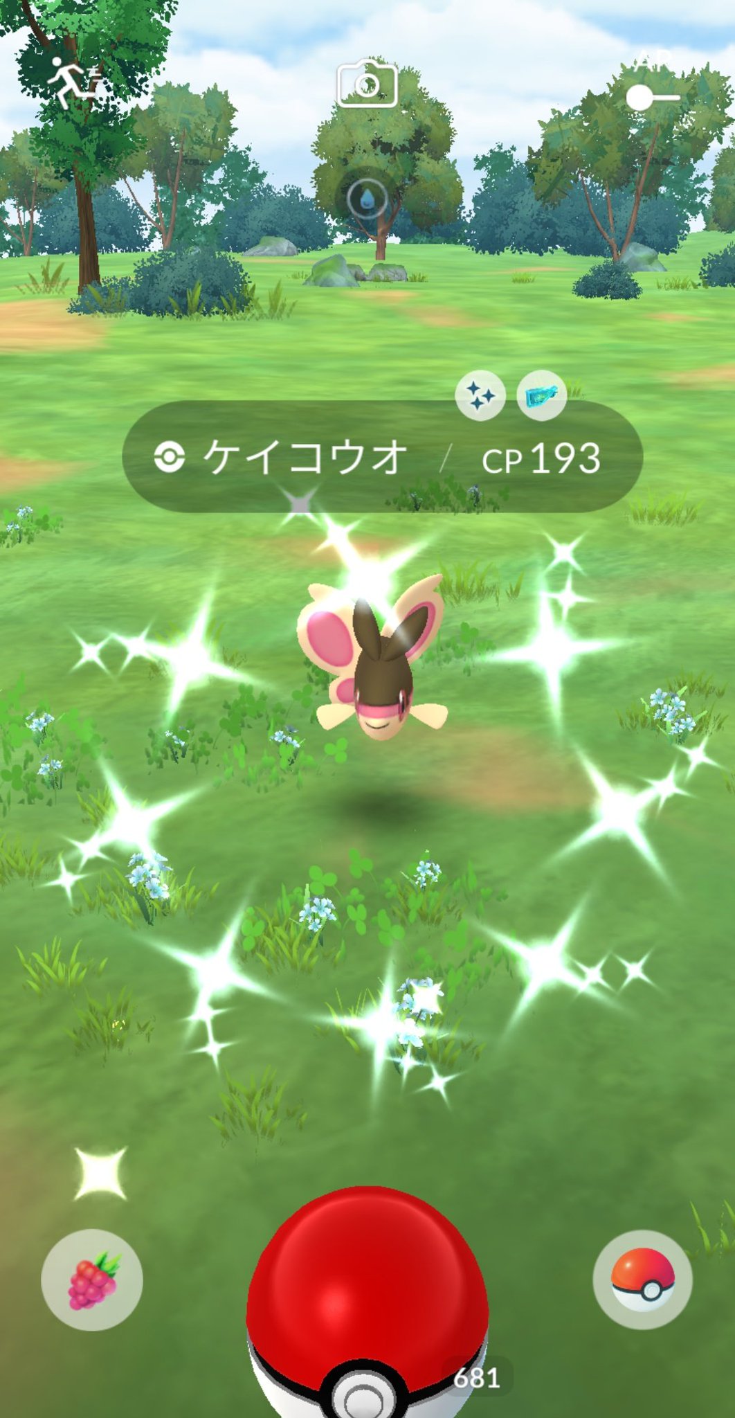 ポケモン - りぃちゃん Amazon.co.jp: ポケットモンスター XY ＆ Z でっかいぬいぐるみ