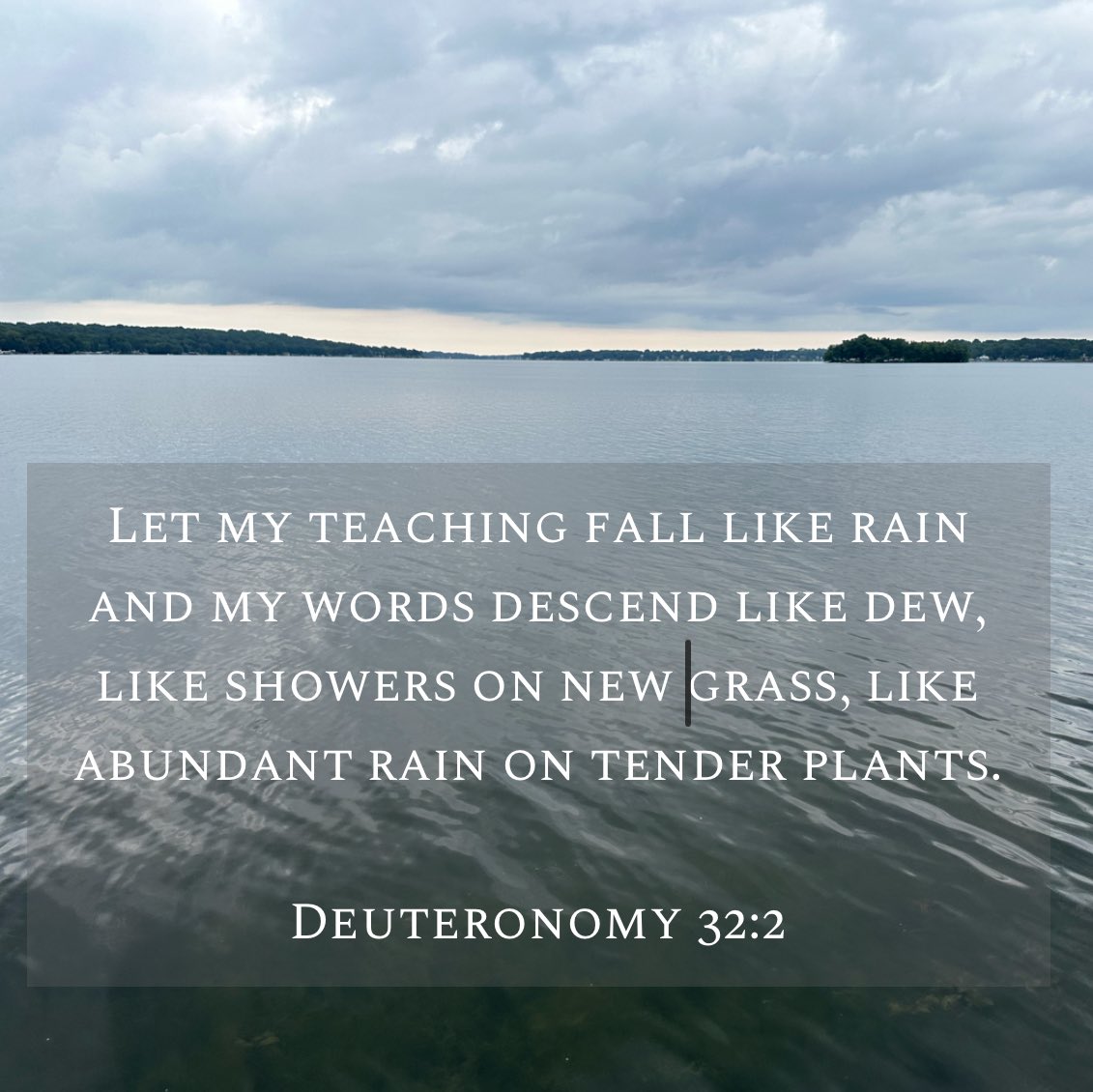 ScottWalker's tweet image. Let my teaching fall like rain and my words descend like dew, like showers on new grass, like abundant rain on tender plants.
Deuteronomy 32:2