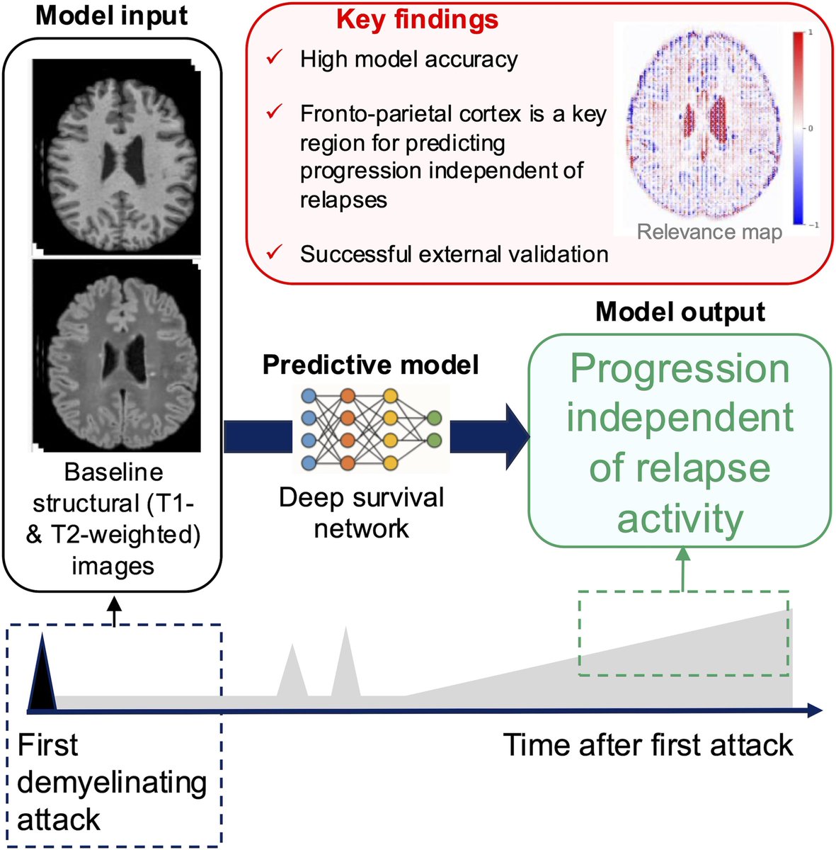 braincomms's tweet image. A DL survival model based solely on conventional brain MRI data acquired at the first demyelinating event can predict PIRA development with high accuracy, outperforming previously proposed survival models. Read at buff.ly/RohPzOd
@CarmenTur1