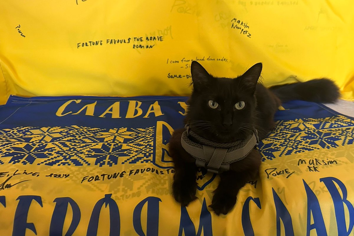 mishas_angels11's tweet image. Happy #caturday 💙🐈⬛💛 The flags from Team Krumpet have finally made it to the States. 🇺🇦🐸🇺🇦 They’ll be on their way to donors next week!These are long overdue and we apologize for the delay. Coordinating this many flags for signing is not as easy as it appears 🙈
The drone…