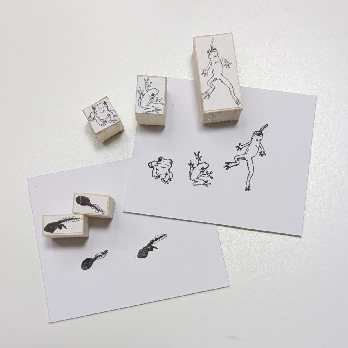 明日はいよいよ博物ふぇすてぃばる✨

今年の博物ふぇすの頑張ったところは…

⭐️ガチャガチャ
⭐️（新作）小さなカエルのスタンプ
⭐️（新作）小さなオタマジャクシのスタンプ
⭐️貝殻の標本箱の本
⭐️小さなシーリングスタンプ

🌟小さな動物スタンプたくさん！→ツリー

#博物ふぇすお貝物ブース2025