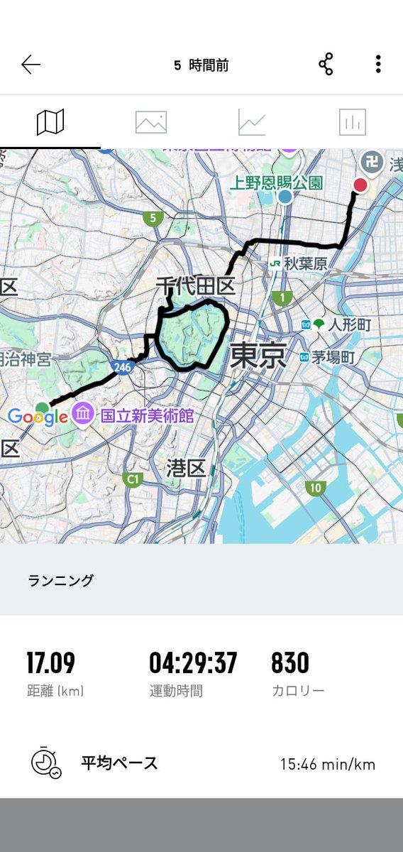 りん 一週間以上たってる場合即購入❌ 楽天市場】安全靴 安全スニーカー 喜多 MG-5590 TOP FORM 鋼製先