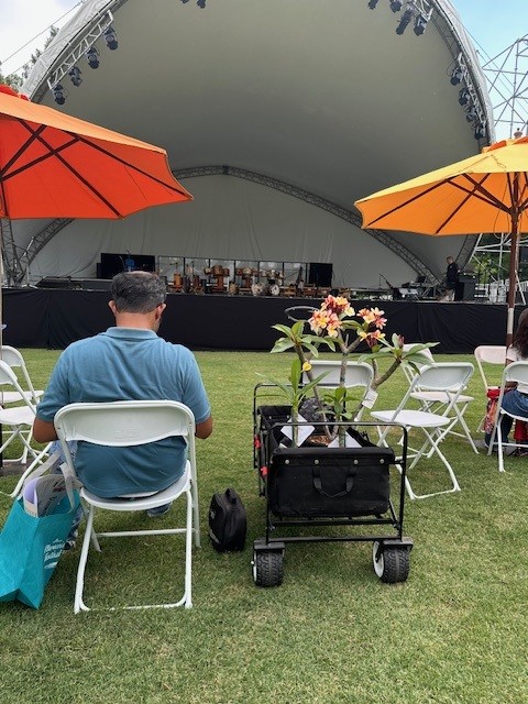 LAArboretum's tweet photo. Plumeria Festival, Saturday, July 19, 9am-2pm.
PLUMERIA GROVE TOURS
9am-1pm: English
10am: Plumeria in Hawaiian Culture
11am: Mandarin
12pm: Spanish
LIVE ENTERTAINMENT
9:30am: Flamenco Souls
10:30am-11:15pm: Glory of Paradise, Polynesian Dance &amp; Drumming
12pm: Flamenco Souls https://t.co/rUxn8p1AkT