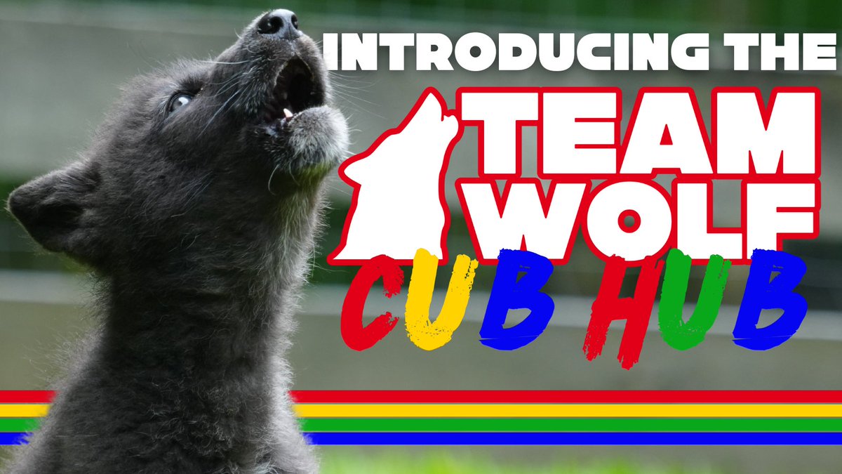 🐾 Calling all young wolf advocates! We just launched the #CubHub—a fun, kid-friendly space packed with free activities, trivia, coloring pages &amp; tools to help kids speak up for wolves.

Perfect for classrooms, camps &amp; dinner tables: TeamWolf.kids