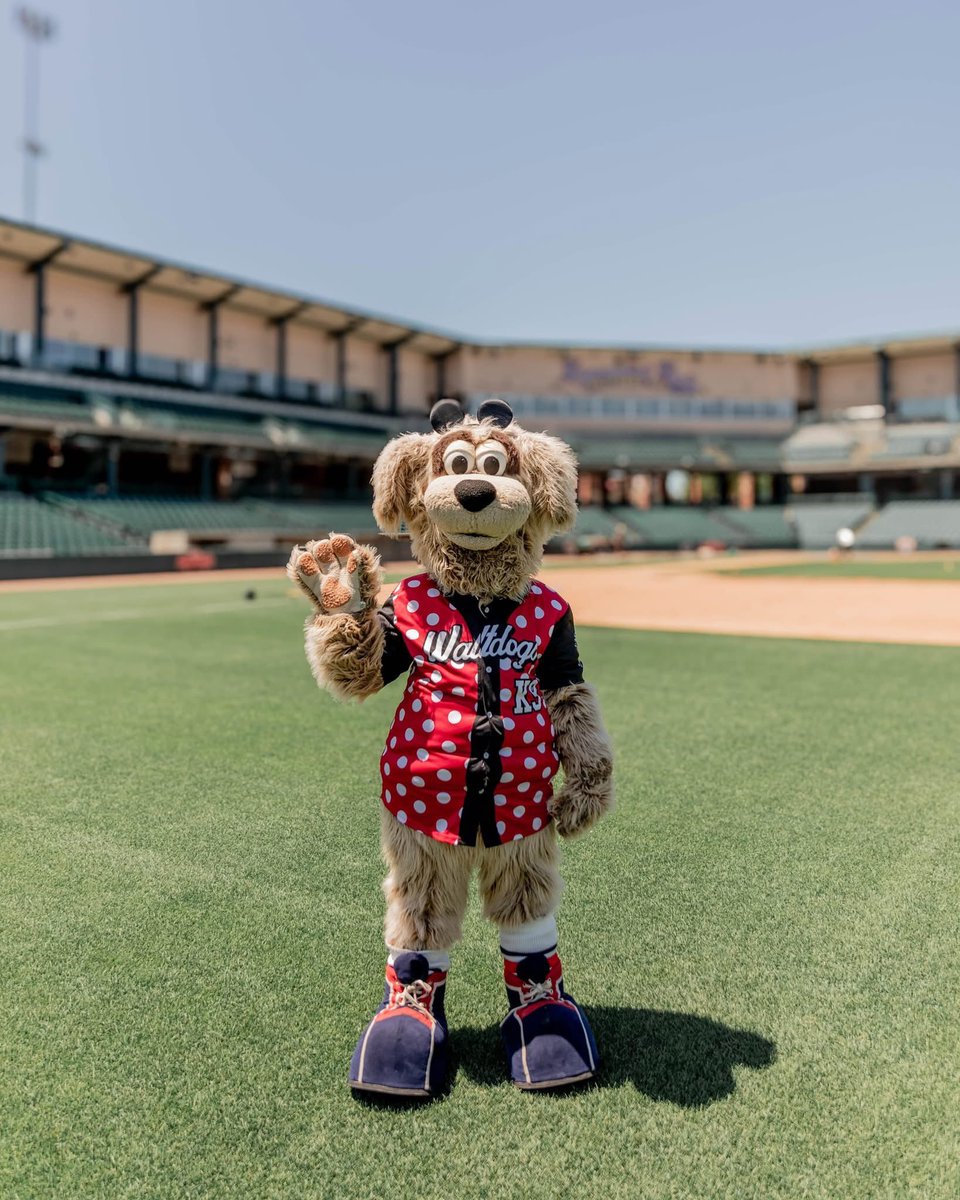 Waltdogs jersey auction ends today at noon! Be sure to bid now! 

All jersey proceeds will benefit Homer’s Heroes, a division within the Junior Saltdogs league for boys and girls with physical or intellectual disabilities, ages 5 to 17

saltdogs.com/bid