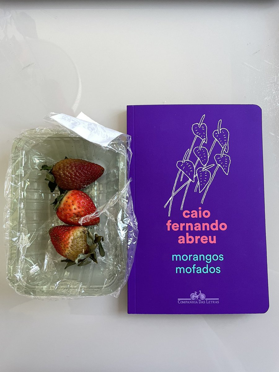 meu pai viu o meu livro novo e falou “tenho uma ideia ótima pra você tirar foto”