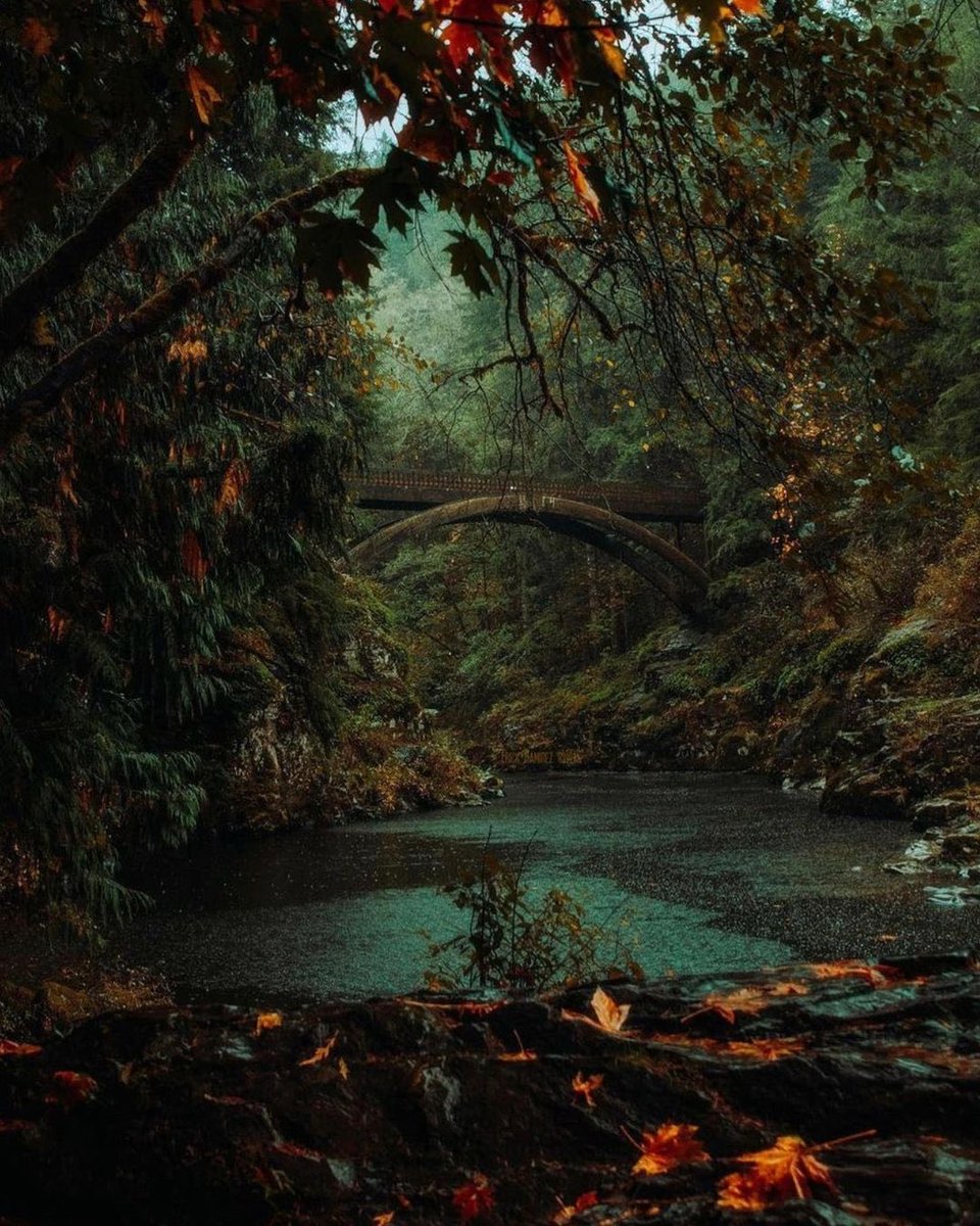 plainrunner2's tweet image. There was a man who came to town once, peddling fairy tales. Full of pain, they were, with sweat of blood, and lament of loss. Many believed the first parts, the dark forests and thorny hollows, and they wished to stay there, thinking themselves very grown up.
Yet those few who…