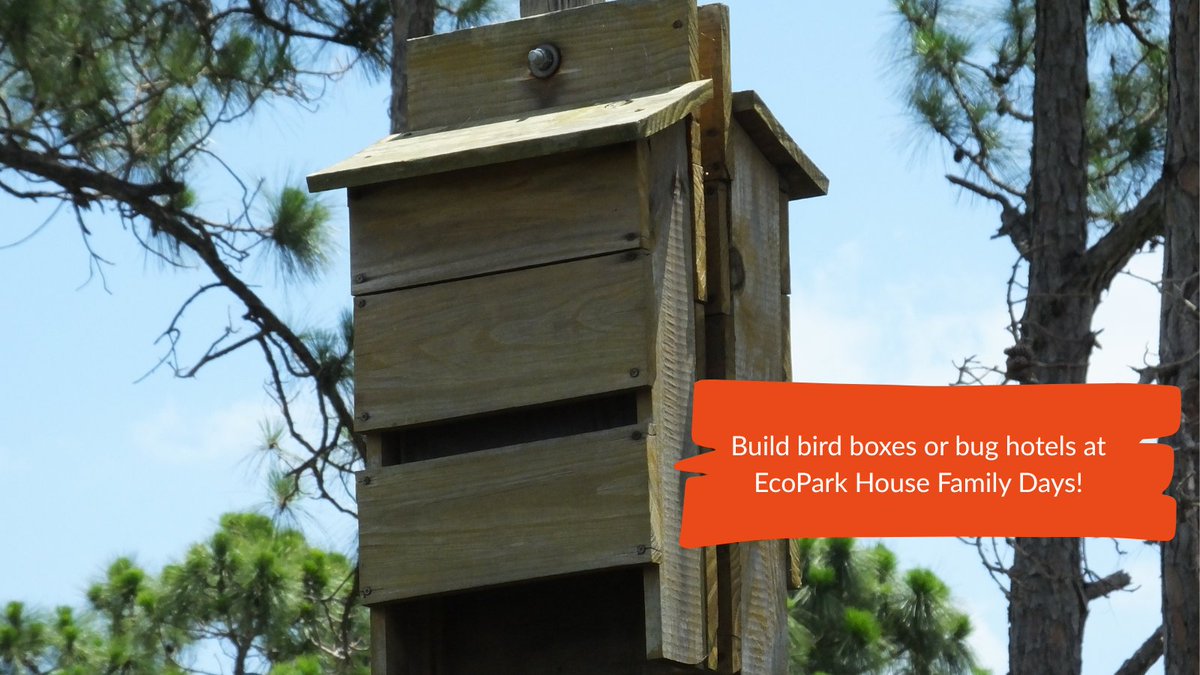🛠️ Build a home for wildlife! Join our Bird &amp; Bat box workshop at EcoPark House Family Days.

🌿 Make bug hotels &amp; bird boxes with wood off-cuts
👦 Ages 8+ | Max 4 per session
📅 Thurs 7 Aug
🕥 10:30am–1:30pm
📍 N18 3BJ

🎟️ Booking essential! tickettailor.com/events/thenort…