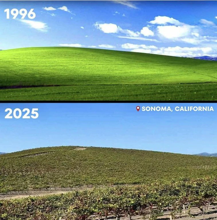 Rainmaker1973's tweet image. Windows XP wallpaper in 1996 vs 2025