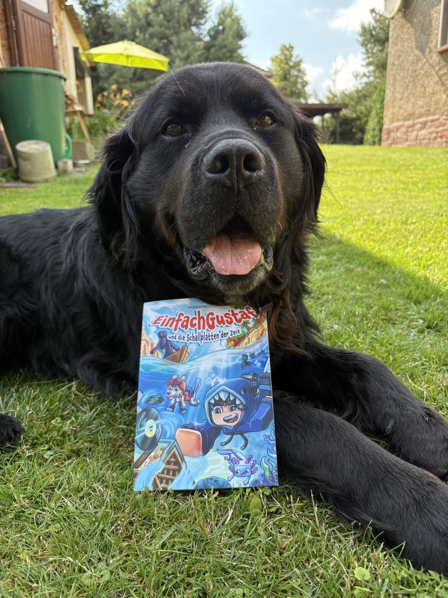 Auch mein riesiger Twitter Account wird natürlich für Werbung ausgenutzt!😎 Ihr könnt ab sofort mein erstes eigenes Buch vorbestellen!❤️📚

👉🏼 snip.ly/EinfachGustaf