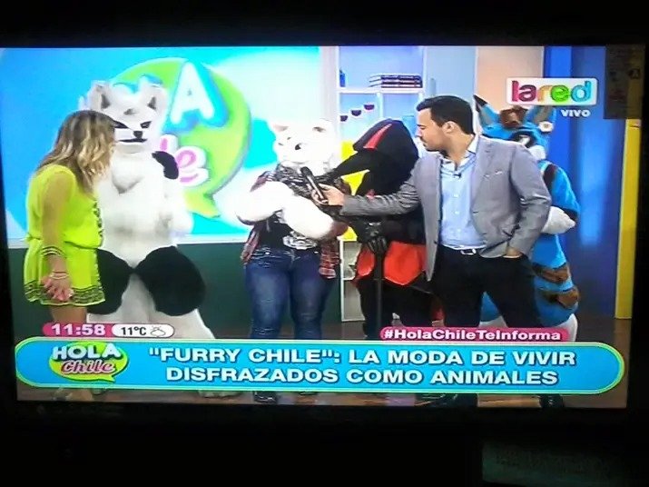 AkiJaline's tweet image. Tengo la tradición de repostear esto cada vez que mi viejo facebook me lo recuerde 🐾