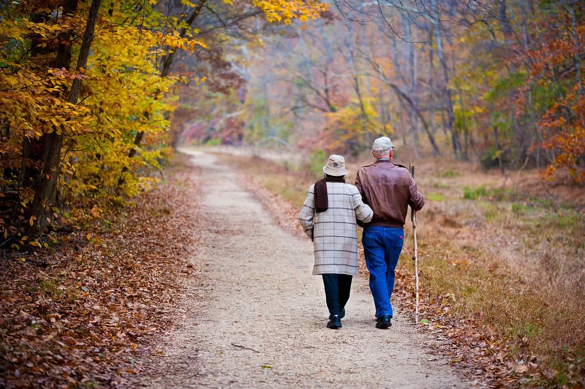 S_N_Journal's tweet image. 🔴 NEW PUBLICATION 🔴
“Discussing the Secular in Intimate Relationships” by Lieke L. Schrijvers
How do Christian–nonreligious couples in the Netherlands navigate belief differences? Science, ethics & everyday negotiation take center stage.
🔗 Link: doi.org/10.5334/snr.197