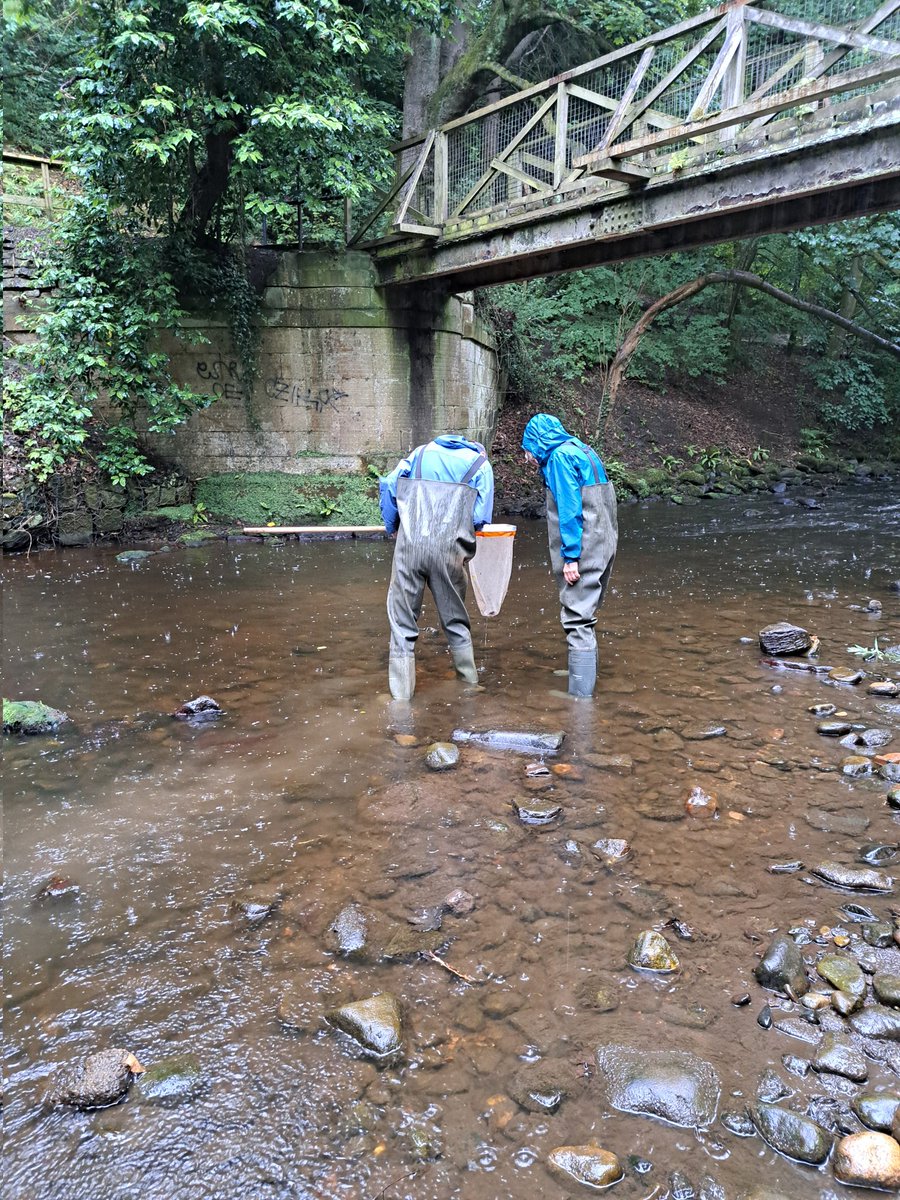 WOLCT's tweet image. A group of our Riverfly survey volunteers braved this morning&apos;s downpours, by getting their waders on and practicing some kick sampling techniques and Riverfly identification in the Dells. Well done to you all!