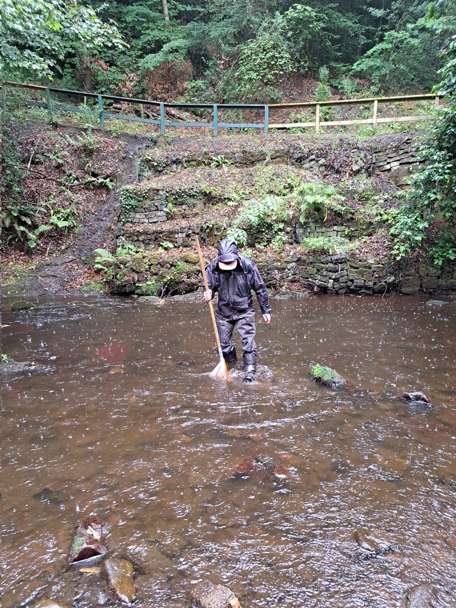 WOLCT's tweet image. A group of our Riverfly survey volunteers braved this morning&apos;s downpours, by getting their waders on and practicing some kick sampling techniques and Riverfly identification in the Dells. Well done to you all!