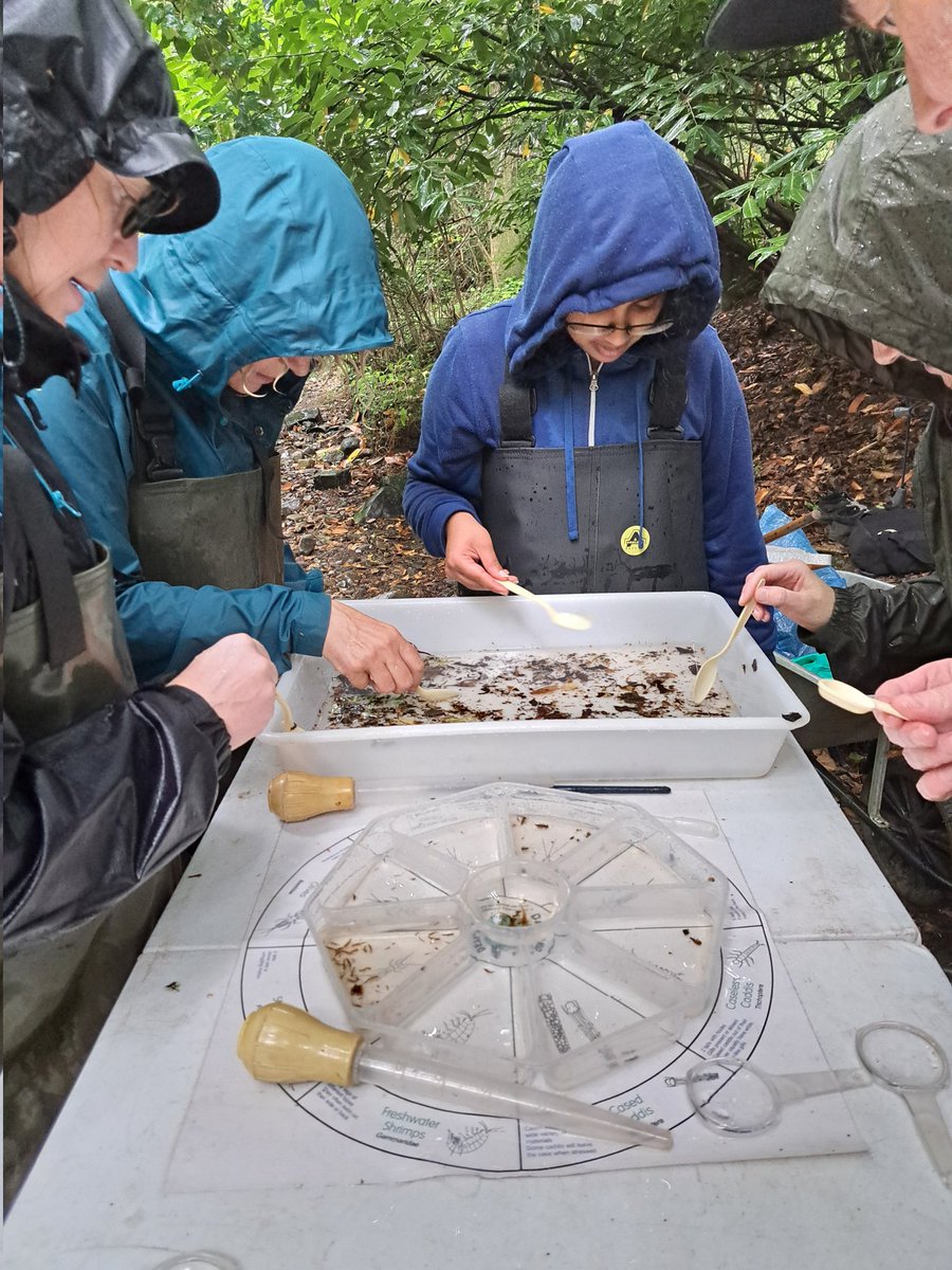 WOLCT's tweet image. A group of our Riverfly survey volunteers braved this morning&apos;s downpours, by getting their waders on and practicing some kick sampling techniques and Riverfly identification in the Dells. Well done to you all!