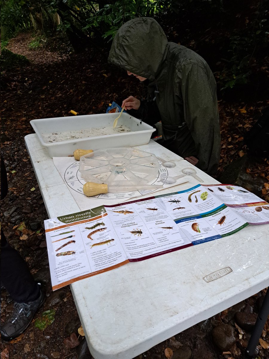 WOLCT's tweet image. A group of our Riverfly survey volunteers braved this morning&apos;s downpours, by getting their waders on and practicing some kick sampling techniques and Riverfly identification in the Dells. Well done to you all!