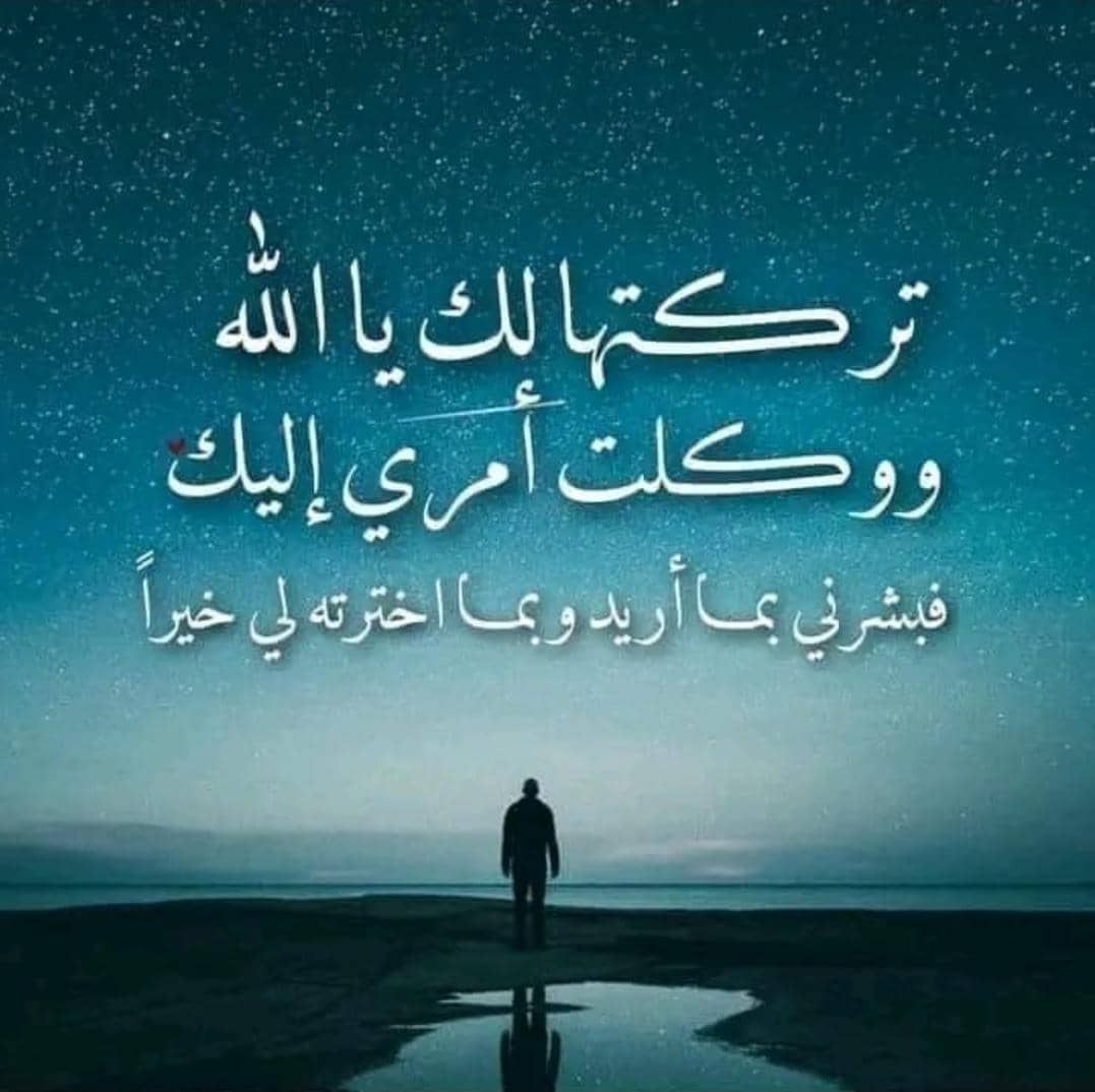 ﷽                    
 
 #بدايــــــــــــــــــہ
  ✈️🔥<a href="/tl00l0_3/">الوطن الجريح</a>🔥 ✈️
؏ 280

✈️🔥<a href="/T039tt9/">ابو يمن</a>🔥 ✈️
؏ 370

#قروبات_توفيق_للدعم