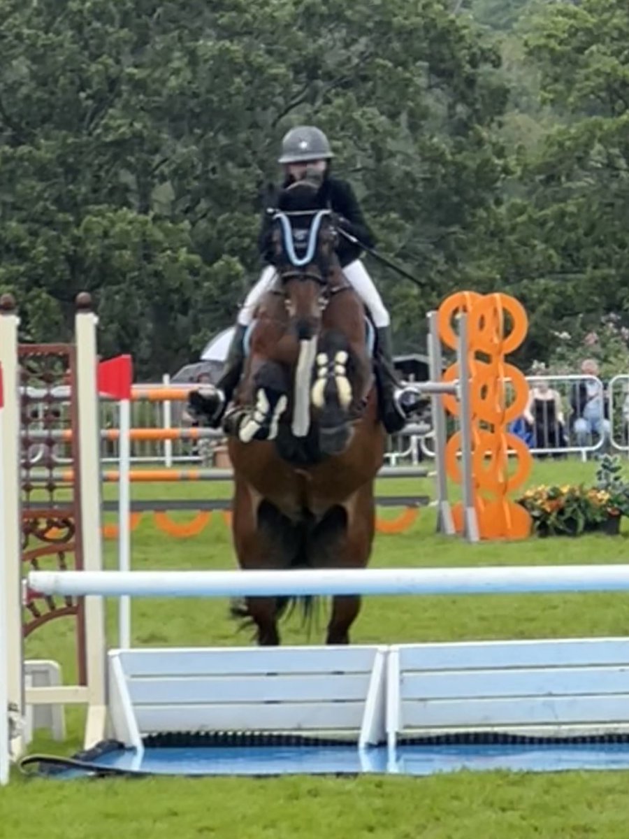 Show jumping at the RLS final day tomorrow- well worth a visit.