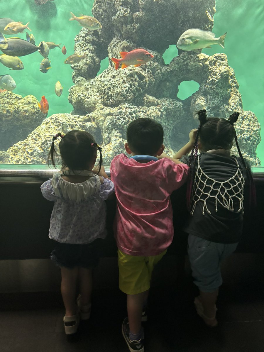 kyk_webdesign's tweet image. 昨日は朝方まで個人で受けた案件を進め、
今日は子供たち連れてワンオペで水族館🐟
（旦那は仕事、、、）

子供たちが楽しんでくれて往復2時間運転して行った甲斐あったw