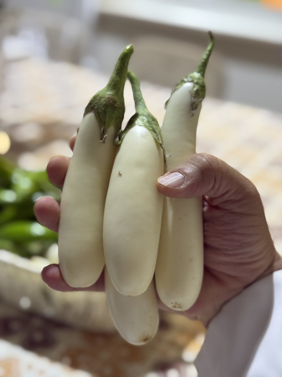 • محصول الباذنجان الأبيض لهذا اليوم

ماأفضل طبق يكون عنصره الرئيس أو بماذا يُفضل استخدامه ؟