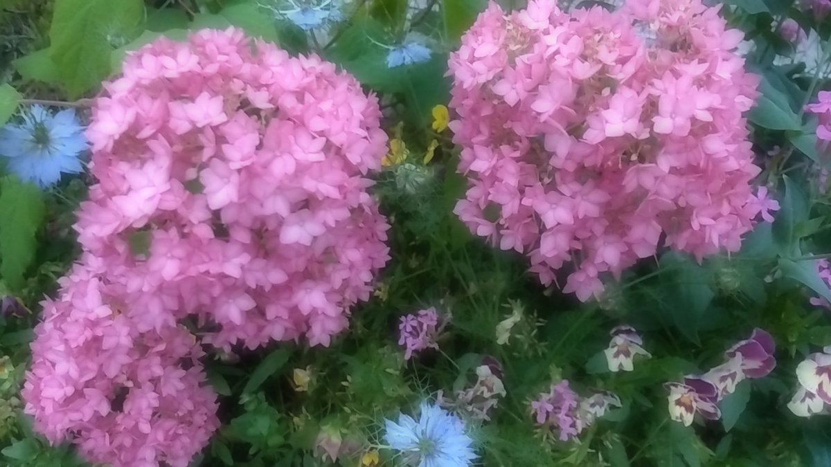 あなたの特別に
ﾟ･*:.｡.♡.｡.:*･゜

寛容な女性💜