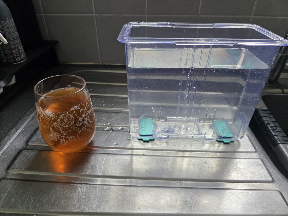 KikkawaRyu's tweet image. I think this might be a little wet to dry out?