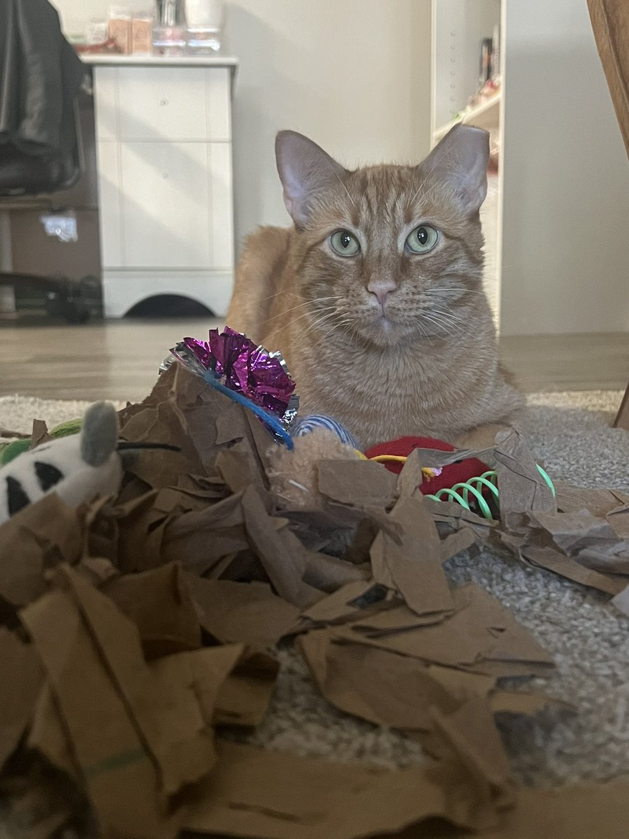 do Yuo likey mine pile?