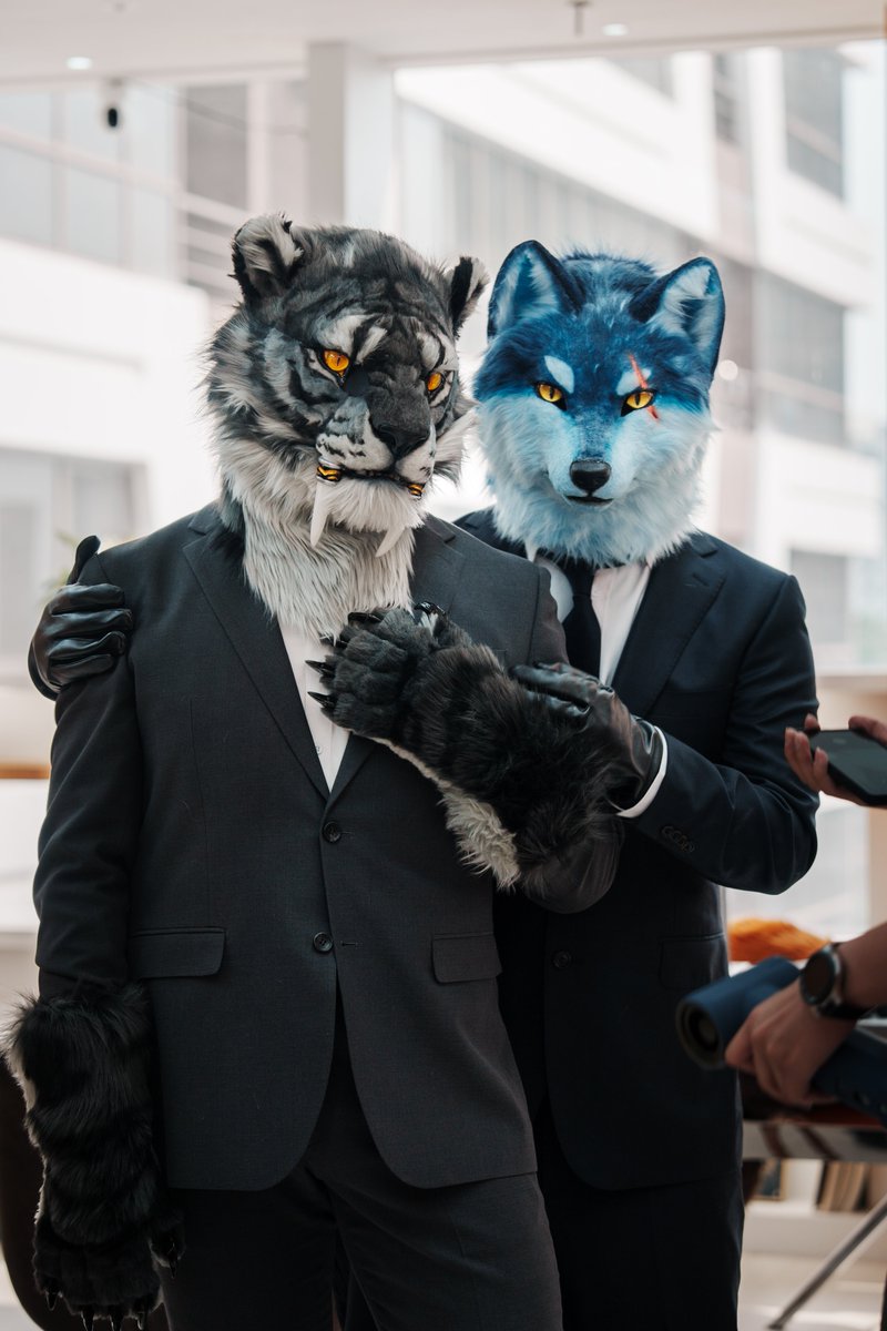 #FursuitEveryday 
회장님 모시기
🐯<a href="/MoreFast15/">MF</a>
📷<a href="/hututi07/">千(sen)</a>