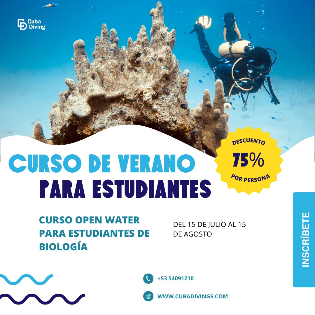 blue_laurita's tweet image. Vengo en modo promo para todos los amantes de las actividades submarinas. Tenemos 2 ofertas vigentes actualmente en Cuba Diving. Si te interesa escribe al pv y si no, agradecería que pudieran compartir ❤️💙🌊👌🏼