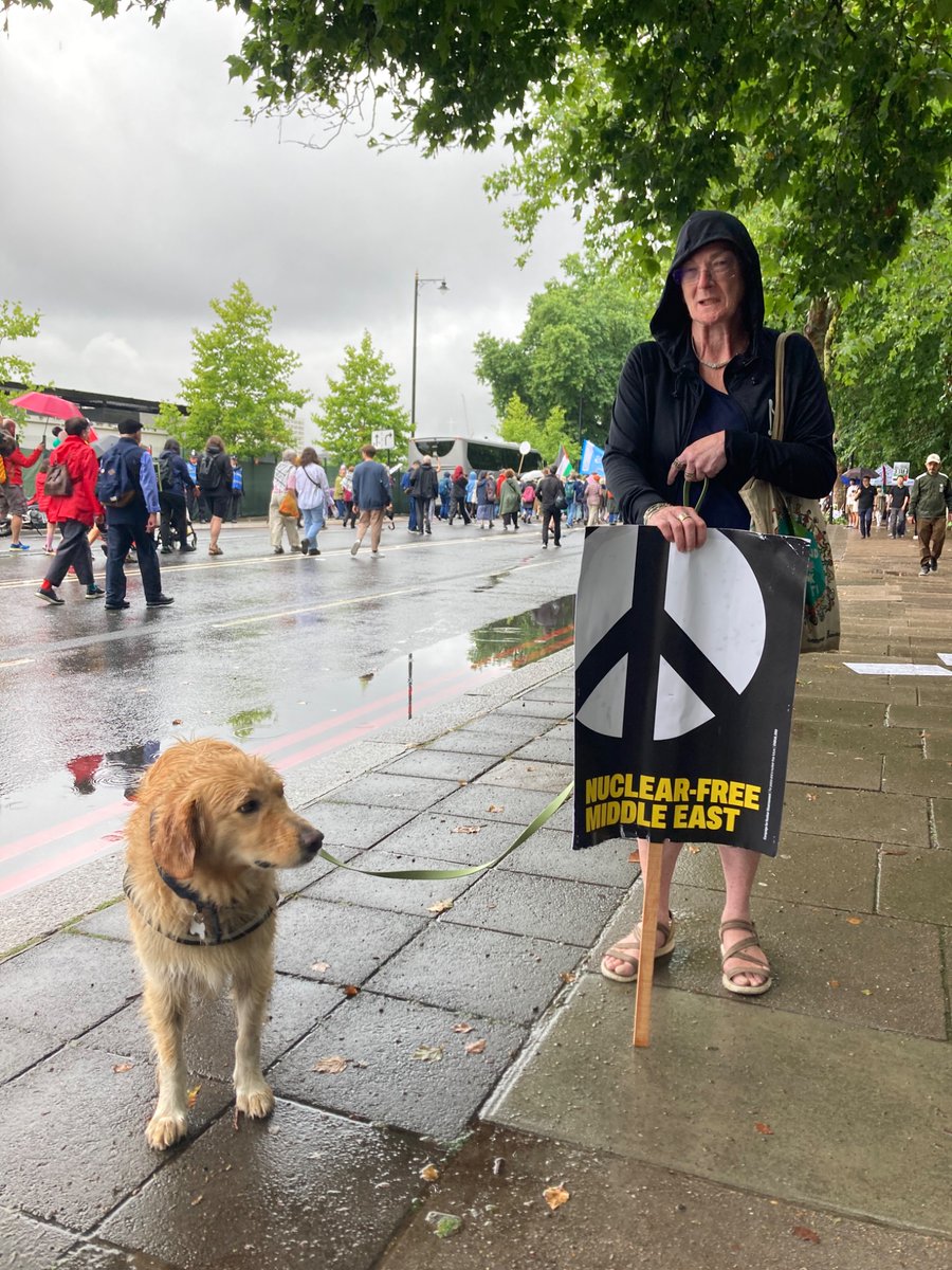 CNDuk's tweet image. Dogs Against The Bomb! 🐕
Anti-Nuclear Canines! 🐩
#PeaceAndPlanet #FreePalestine