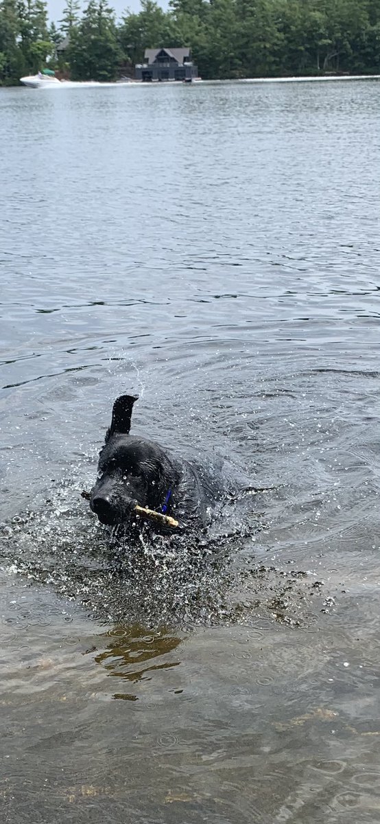 Puck is 7 months old today. #PuckAndMartha