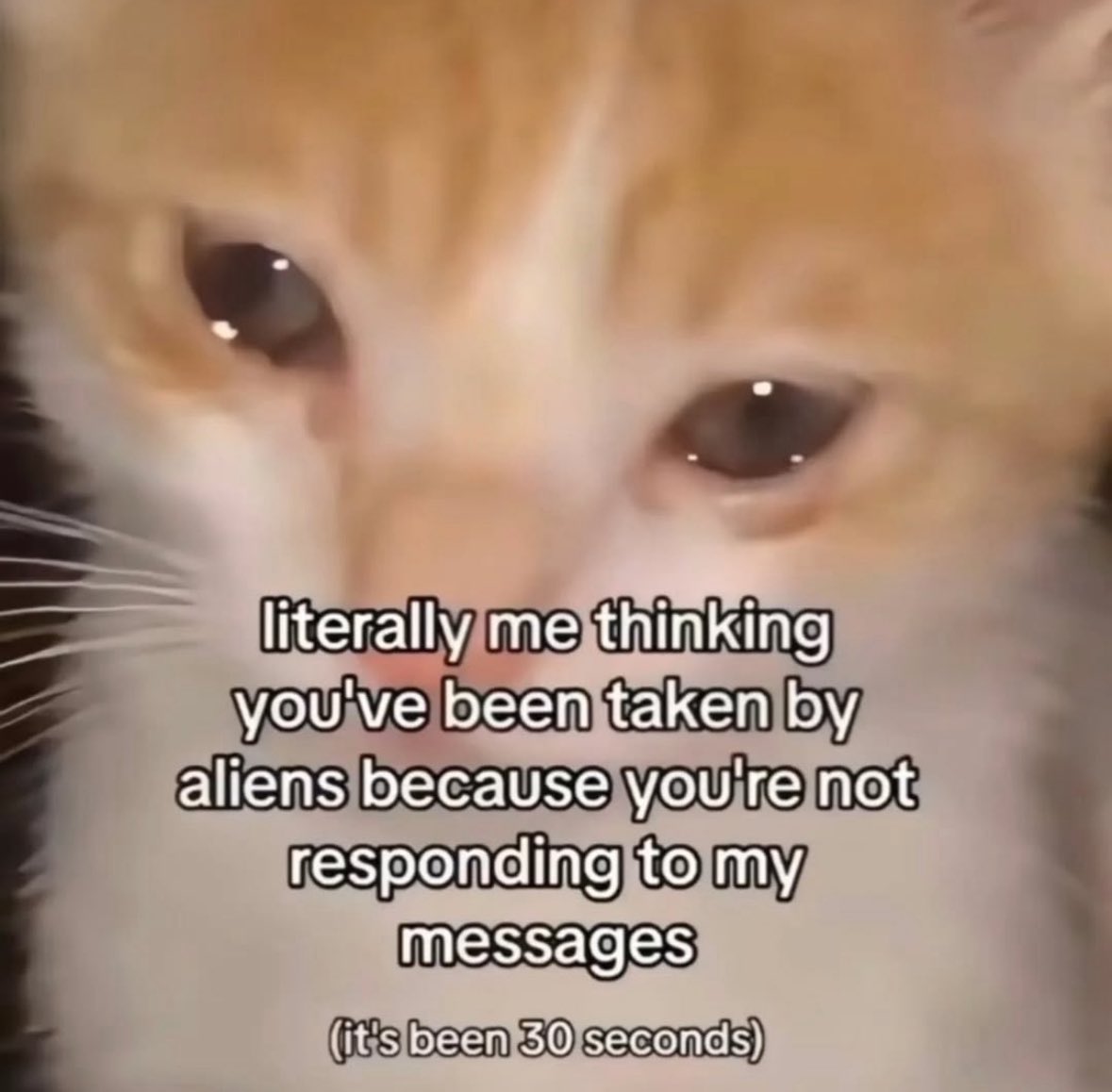 literallymecats's tweet photo. https://t.co/yjGGhzCSgX