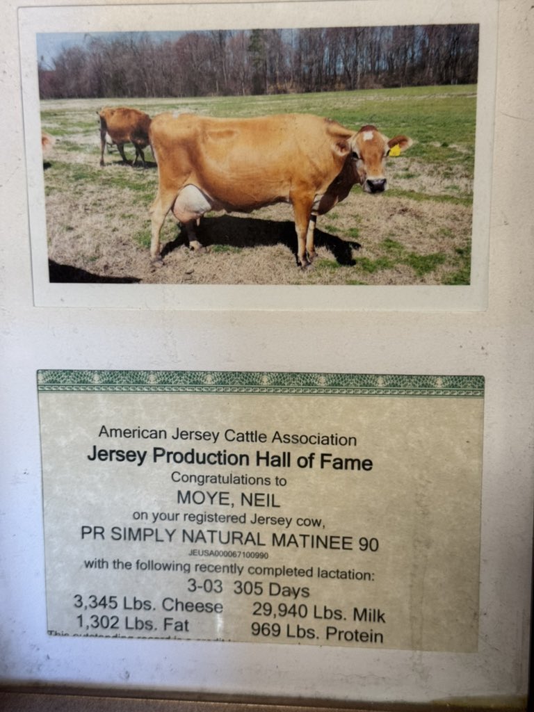 TheShawnHendrix's tweet image. This is the production of one Jersey cow. 29000 lbs of milk in one 305 day cycle. That is about 9 million calories enough to feed 12 people for 1 year. We don’t need chemicals to feed the world we just need more cows on regenerative farms.
