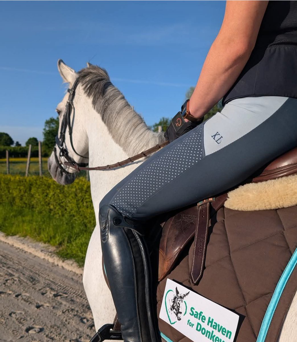safehaven4donks's tweet image. Huge thanks to @IsabelleDeWit for being an ambassador for Safe Haven at the Longines FEI Jumping European Championship! Your prize donations will help donkeys in need. Good luck, Isabelle! 🐴💖 #SafeHaven #JumpingChampionship