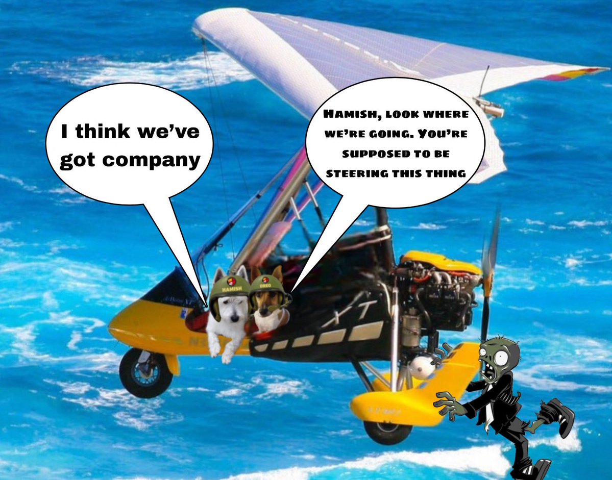 Helen09Porter's tweet image. Oh no 😟 Hamish @Veronicahallis1 an Orea @SuzyYoung24 got company 🧟♂️ #zzst