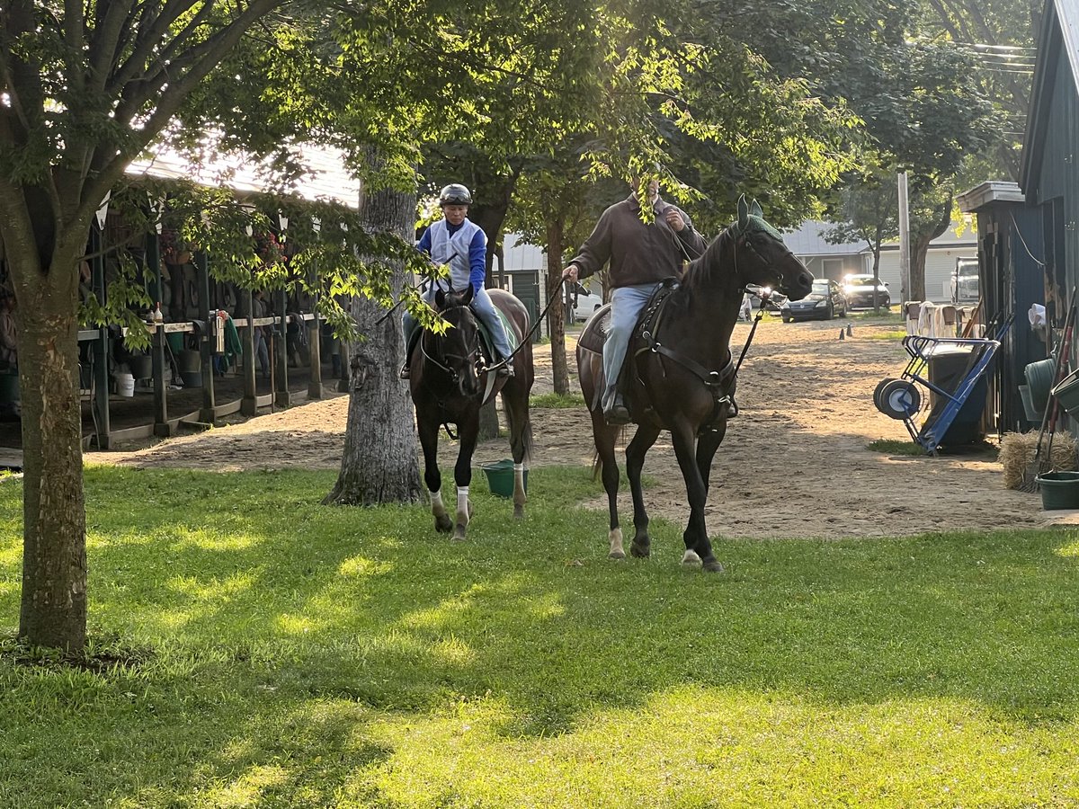 tjwilkin's tweet image. .@KentuckyDerby and @BelmontStakes winner Sovereignty at Saratoga Saturday morning.
