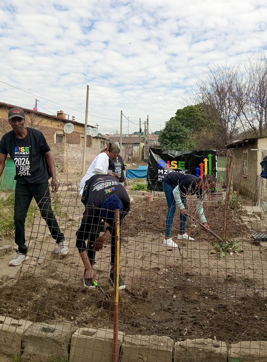 RISEGauteng's tweet image. The theme for this year's #MandelaDay was "Uniting to Combat Poverty and Inequity".
@Rise_Mzansi knows that hunger is a consequence of poverty, so our RISERs in Alexandra's Ward 76 honoured this year's theme by participating in some local food gardening🌱🇿🇦
#RISEWhereYouAre