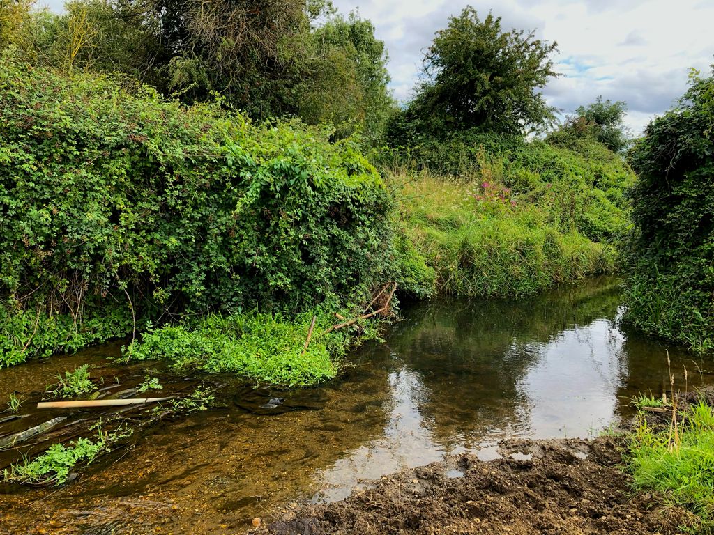 WeirdInTheWade's tweet image. In the last episode of Weird in the Wade I mention that there was a Romano Celtic temple below Galley Hill and the Green Sand Ridge. Well this is where it was, over the Potton Brook which feeds info the river Ivel.