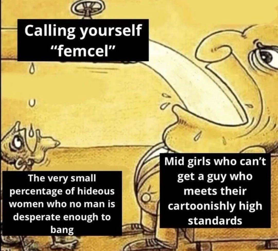 Life imitates memes